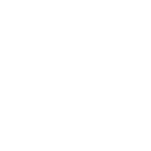 Smart it up! logo